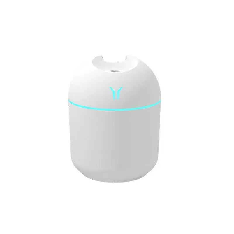Portable 250ML  Air Humidifier - Graceland Home and Living -  