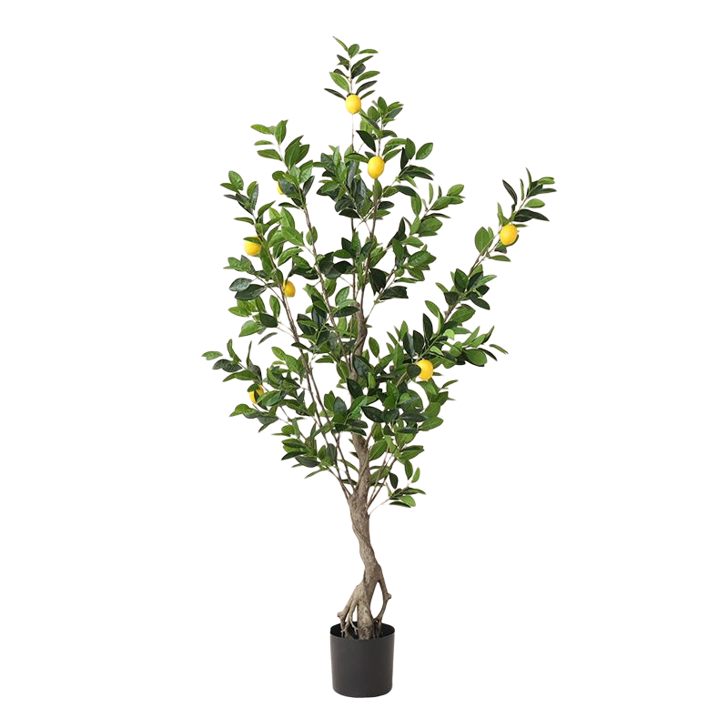 Realistic 1.5M (5FT) Height Artificial Ornamental  Bonsai Lemon Tree - Graceland Home and Living -  