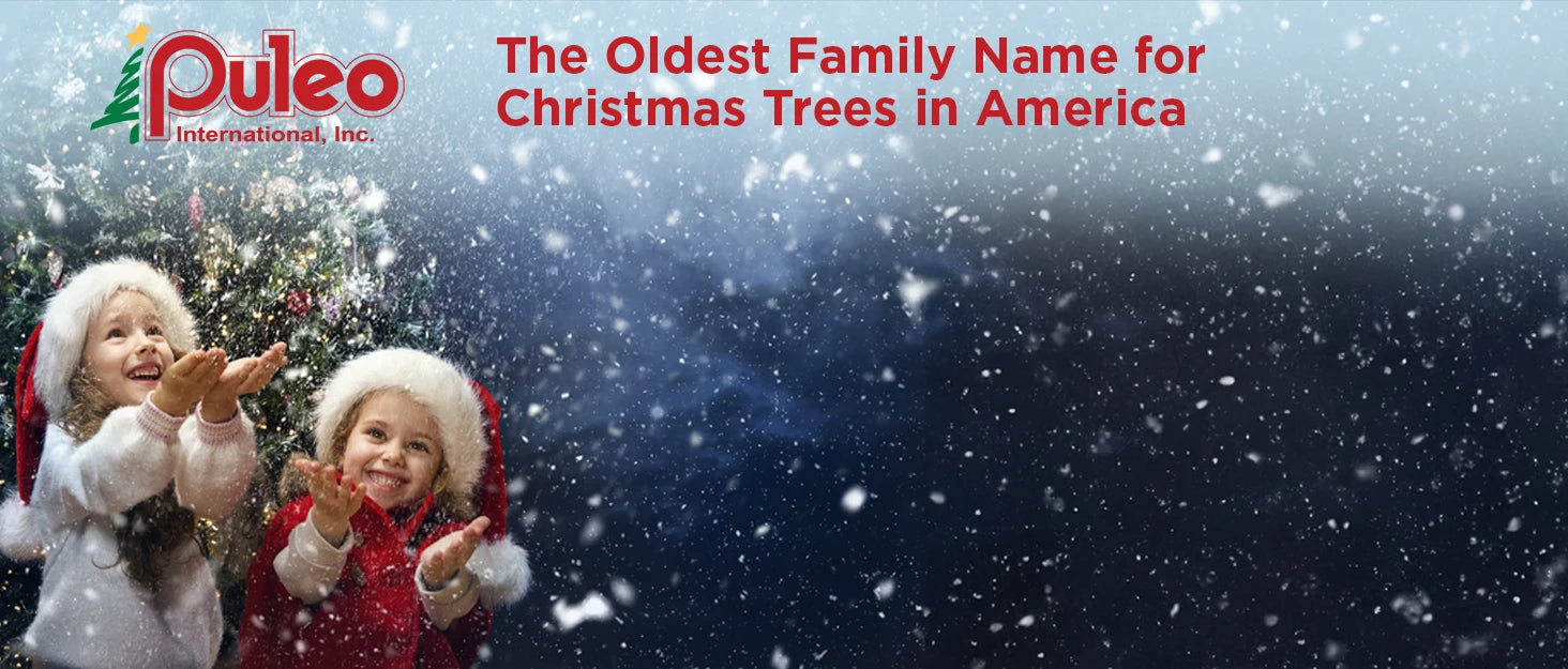 7.5 Foot Pre-Lit Flocked Aspen Fir Artificial Christmas Tree with 700 UL Listed Clear Lights