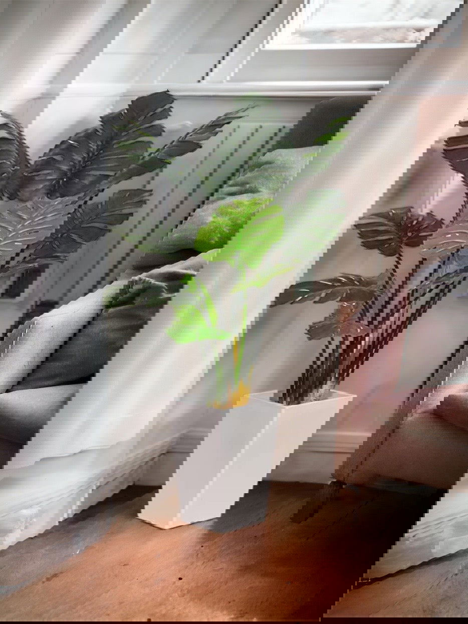 Set of 2 Artificial Monstera Deliciosa Plants in Plastic Pots, - Graceland Home and Living -  