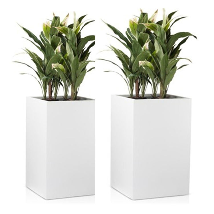 White fiberglass rectangle planter box for planting Graceland Home and Living