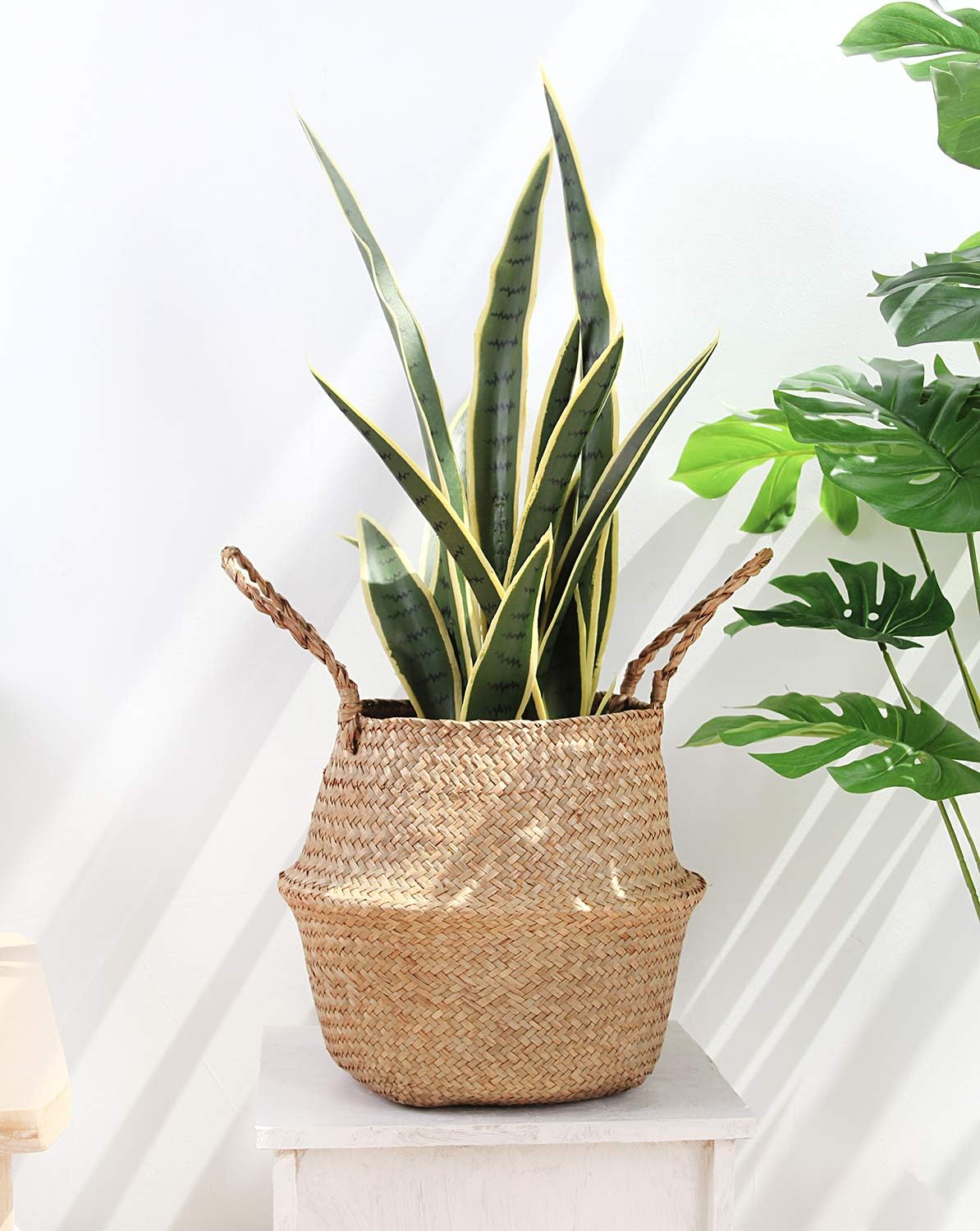 Woven Seagrass Belly Basket for Storage, Plant Pot Basket - Graceland Home and Living -  